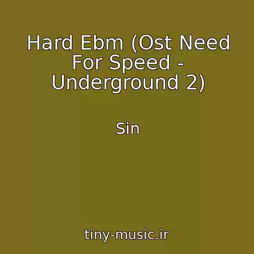 کاور آهنگ Hard Ebm (Ost Need For Speed - Underground 2) از Sin