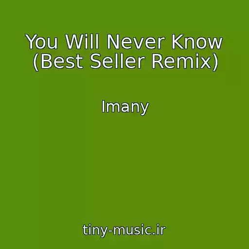 کاور آهنگ You Will Never Know (Best Seller Remix) از Imany