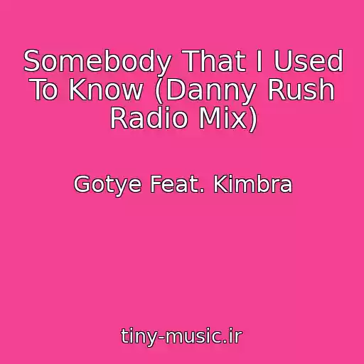 کاور آهنگ Somebody That I Used To Know (Danny Rush Radio Mix) از Gotye Feat. Kimbra
