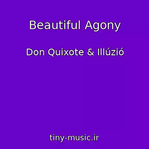 کاور آهنگ Beautiful Agony از Don Quixote & Illúzió