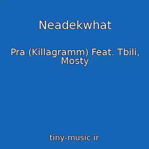 کاور آهنگ Neadekwhat از Pra (Killagramm) Feat. Tbili, Mosty