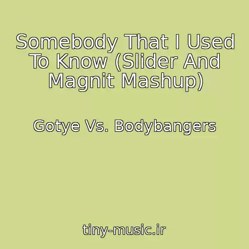 کاور آهنگ Somebody That I Used To Know (Slider And Magnit Mashup) از Gotye Vs. Bodybangers