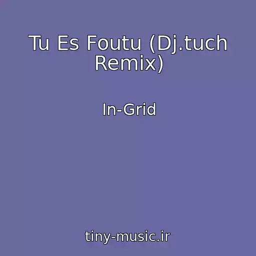 کاور آهنگ Tu Es Foutu (Dj.tuch Remix) از In-Grid