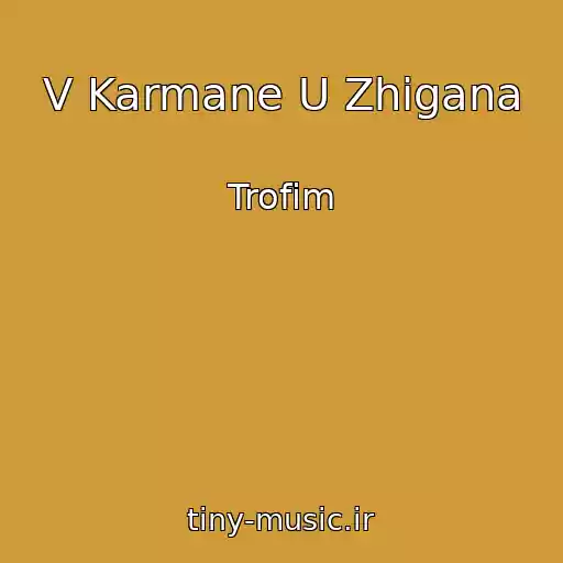 کاور آهنگ V Karmane U Zhigana از Trofim