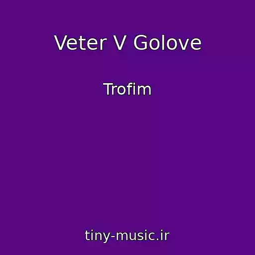 کاور آهنگ Veter V Golove از Trofim