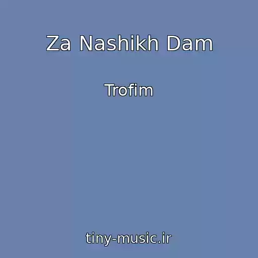 کاور آهنگ Za Nashikh Dam از Trofim