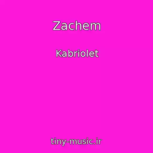 کاور آهنگ Zachem از Kabriolet