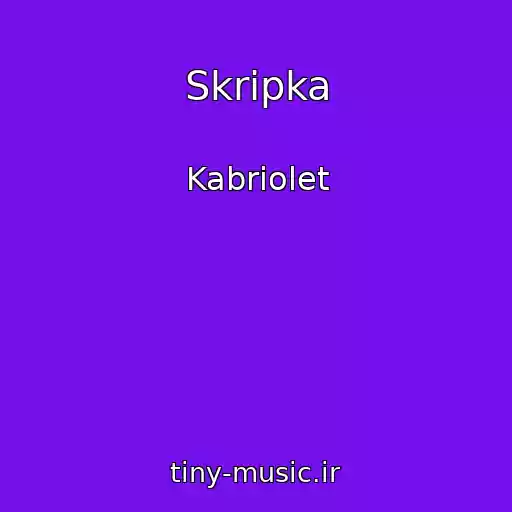 کاور آهنگ Skripka از Kabriolet