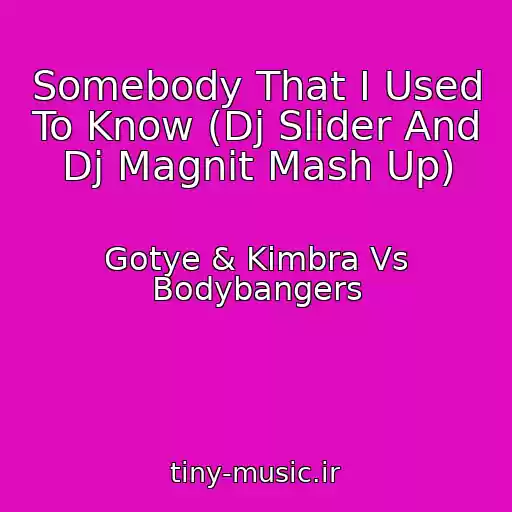 کاور آهنگ Somebody That I Used To Know (Dj Slider And Dj Magnit Mash Up) از Gotye & Kimbra Vs Bodybangers