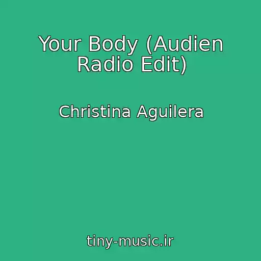 کاور آهنگ Your Body (Audien Radio Edit) از Christina Aguilera