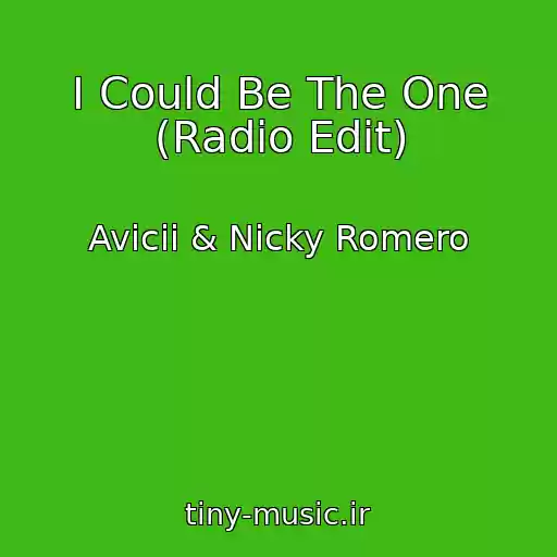 کاور آهنگ I Could Be The One (Radio Edit) از Avicii & Nicky Romero