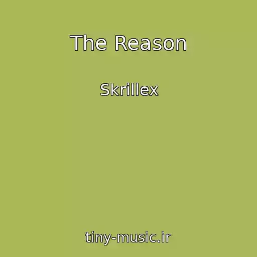 کاور آهنگ The Reason از Skrillex