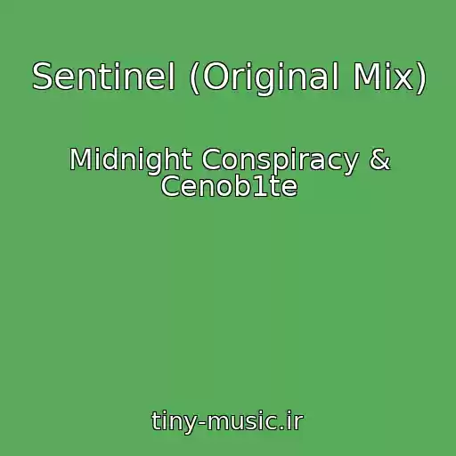 کاور آهنگ Sentinel (Original Mix) از Midnight Conspiracy & Cenob1te