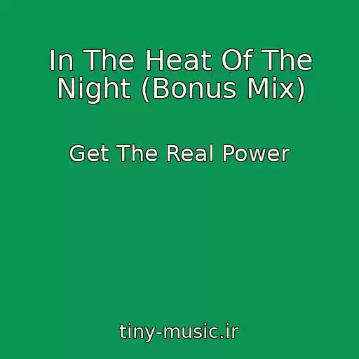 کاور آهنگ In The Heat Of The Night (Bonus Mix) از Get The Real Power