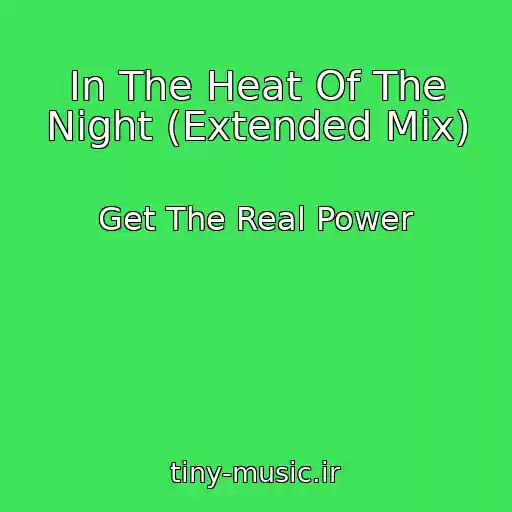 کاور آهنگ In The Heat Of The Night (Extended Mix) از Get The Real Power