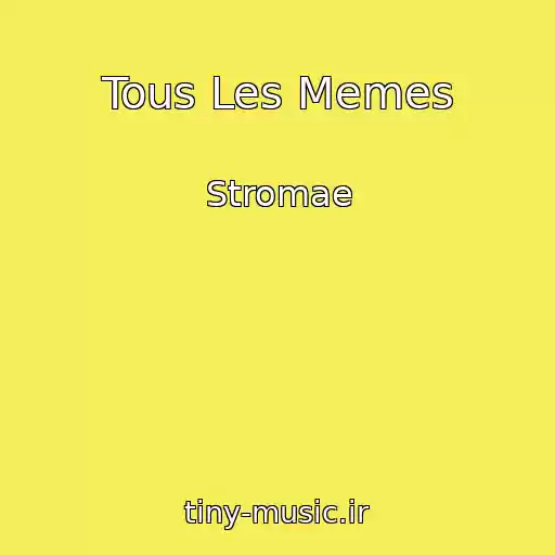کاور آهنگ Tous Les Memes از Stromae