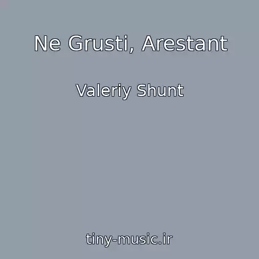 کاور آهنگ Ne Grusti, Arestant از Valeriy Shunt