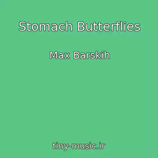کاور آهنگ Stomach Butterflies از Max Barskih