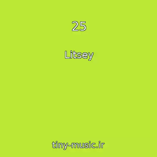 کاور آهنگ 25 از Litsey