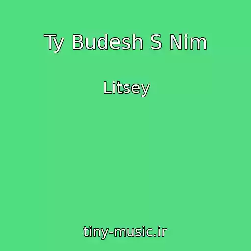 کاور آهنگ Ty Budesh S Nim از Litsey