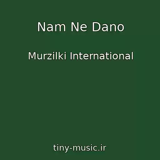 کاور آهنگ Nam Ne Dano از Murzilki International
