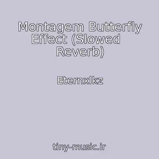 کاور آهنگ Montagem Butterfly Effect (Slowed   Reverb) از Eternxlkz