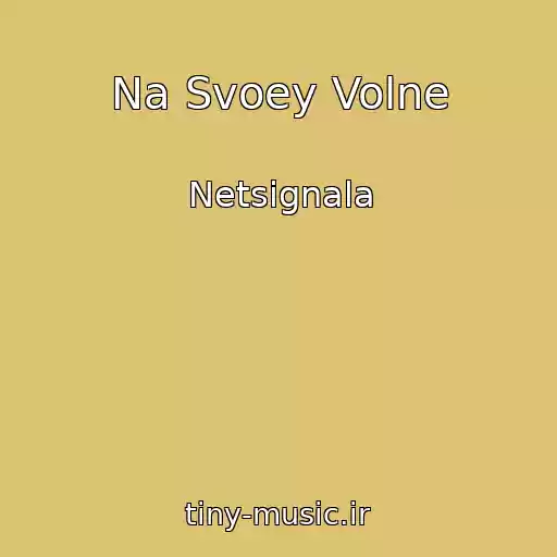 کاور آهنگ Na Svoey Volne از Netsignala