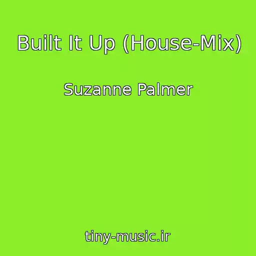 کاور آهنگ Built It Up (House-Mix) از Suzanne Palmer