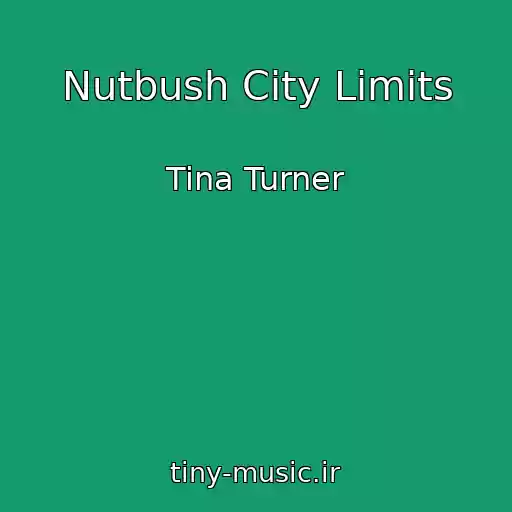کاور آهنگ Nutbush City Limits از Tina Turner
