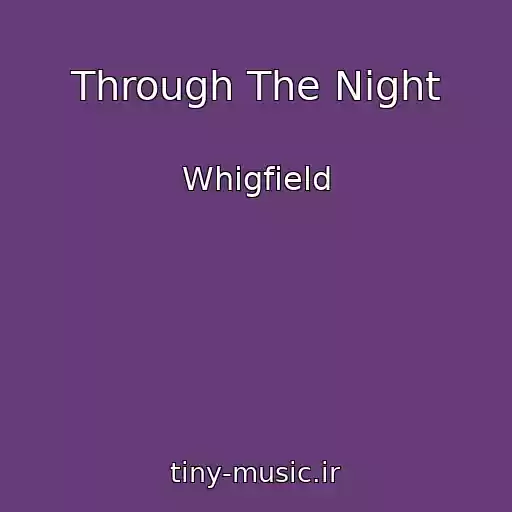کاور آهنگ Through The Night از Whigfield