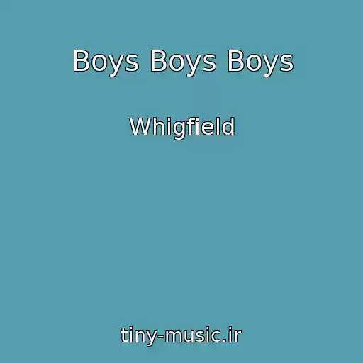 کاور آهنگ Boys Boys Boys از Whigfield