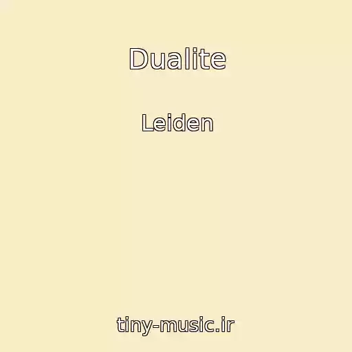 کاور آهنگ Dualite از Leiden