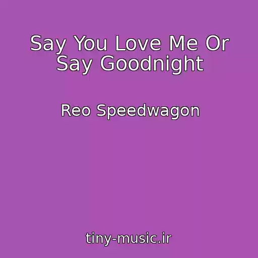 کاور آهنگ Say You Love Me Or Say Goodnight از Reo Speedwagon