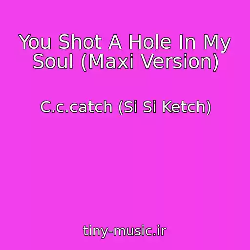 کاور آهنگ You Shot A Hole In My Soul (Maxi Version) از C.c.catch (Si Si Ketch)