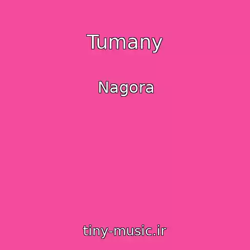 کاور آهنگ Tumany از Nagora