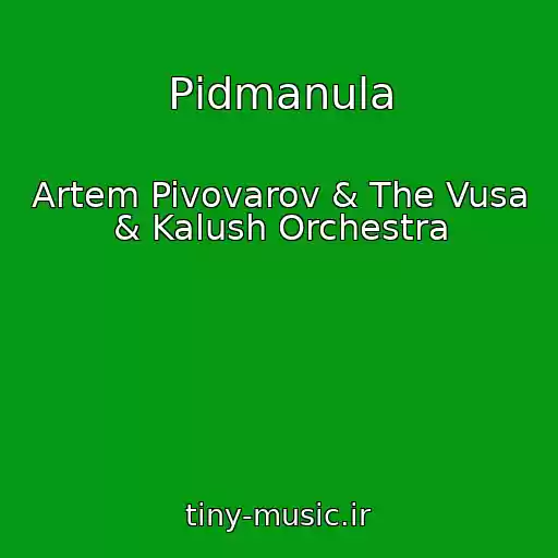 کاور آهنگ Pіdmanula از Artem Pivovarov & The Vusa & Kalush Orchestra