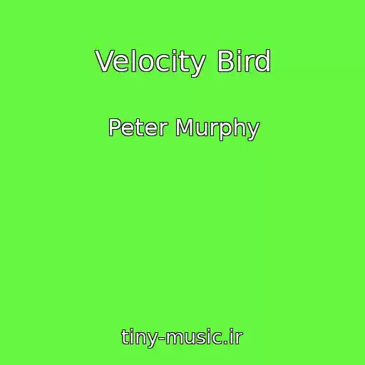 کاور آهنگ Velocity Bird از Peter Murphy