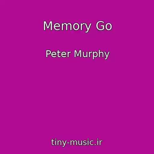 کاور آهنگ Memory Go از Peter Murphy