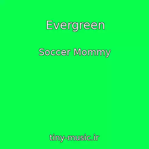 کاور آهنگ Evergreen از Soccer Mommy
