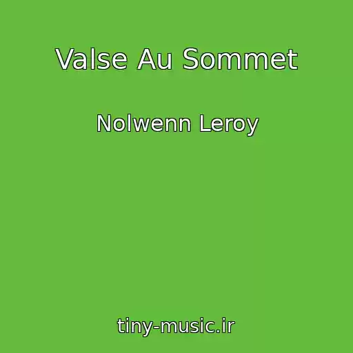 کاور آهنگ Valse Au Sommet از Nolwenn Leroy