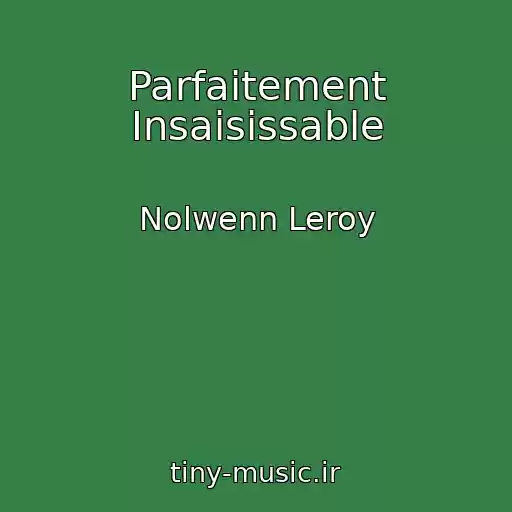 کاور آهنگ Parfaitement Insaisissable از Nolwenn Leroy