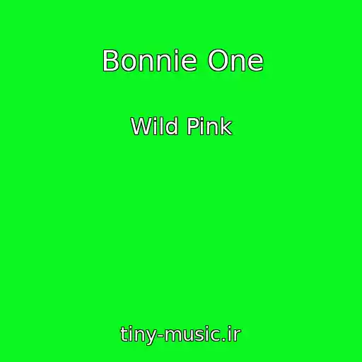 کاور آهنگ Bonnie One از Wild Pink