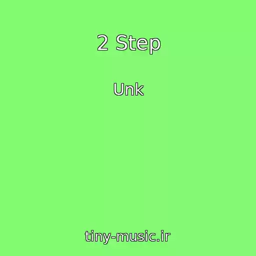 کاور آهنگ 2 Step از Unk