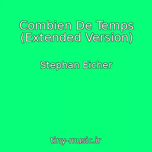 کاور آهنگ Combien De Temps (Extended Version) از Stephan Eicher