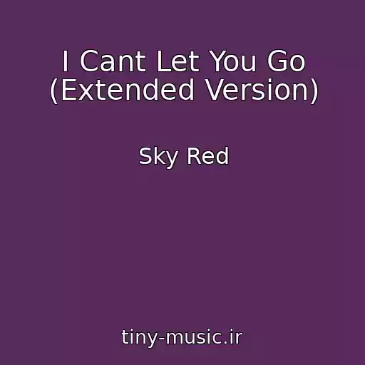 کاور آهنگ I Cant Let You Go (Extended Version) از Sky Red