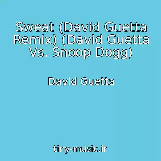 کاور آهنگ Sweat (David Guetta Remix) (David Guetta Vs. Snoop Dogg) از David Guetta