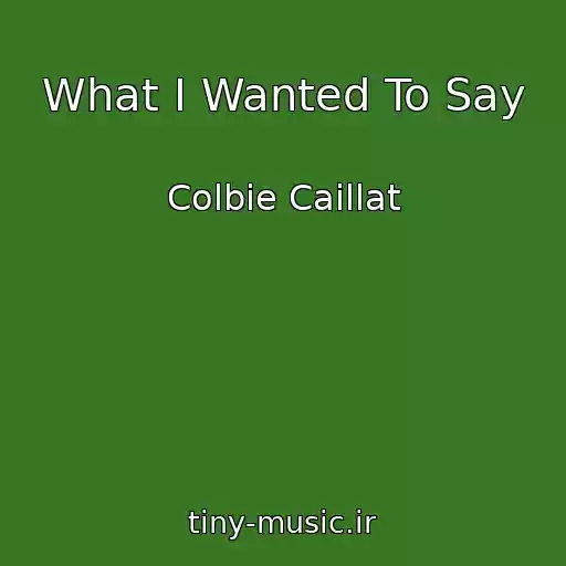 کاور آهنگ What I Wanted To Say از Colbie Caillat