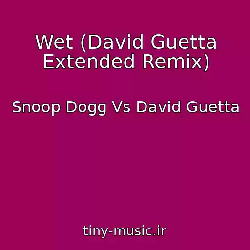 کاور آهنگ Wet (David Guetta Extended Remix) از Snoop Dogg Vs David Guetta