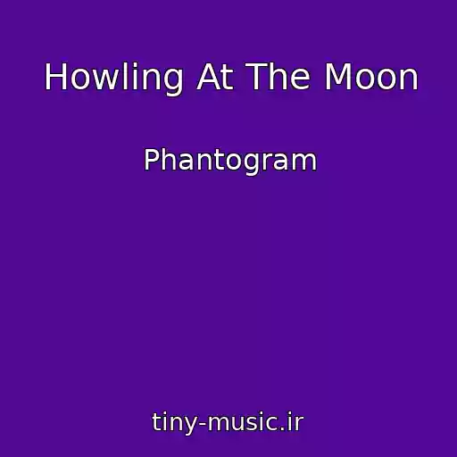 کاور آهنگ Howling At The Moon از Phantogram
