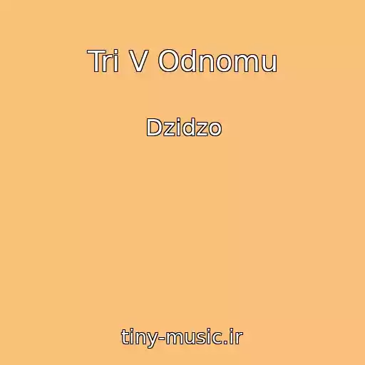 کاور آهنگ Tri V Odnomu از Dzіdzo